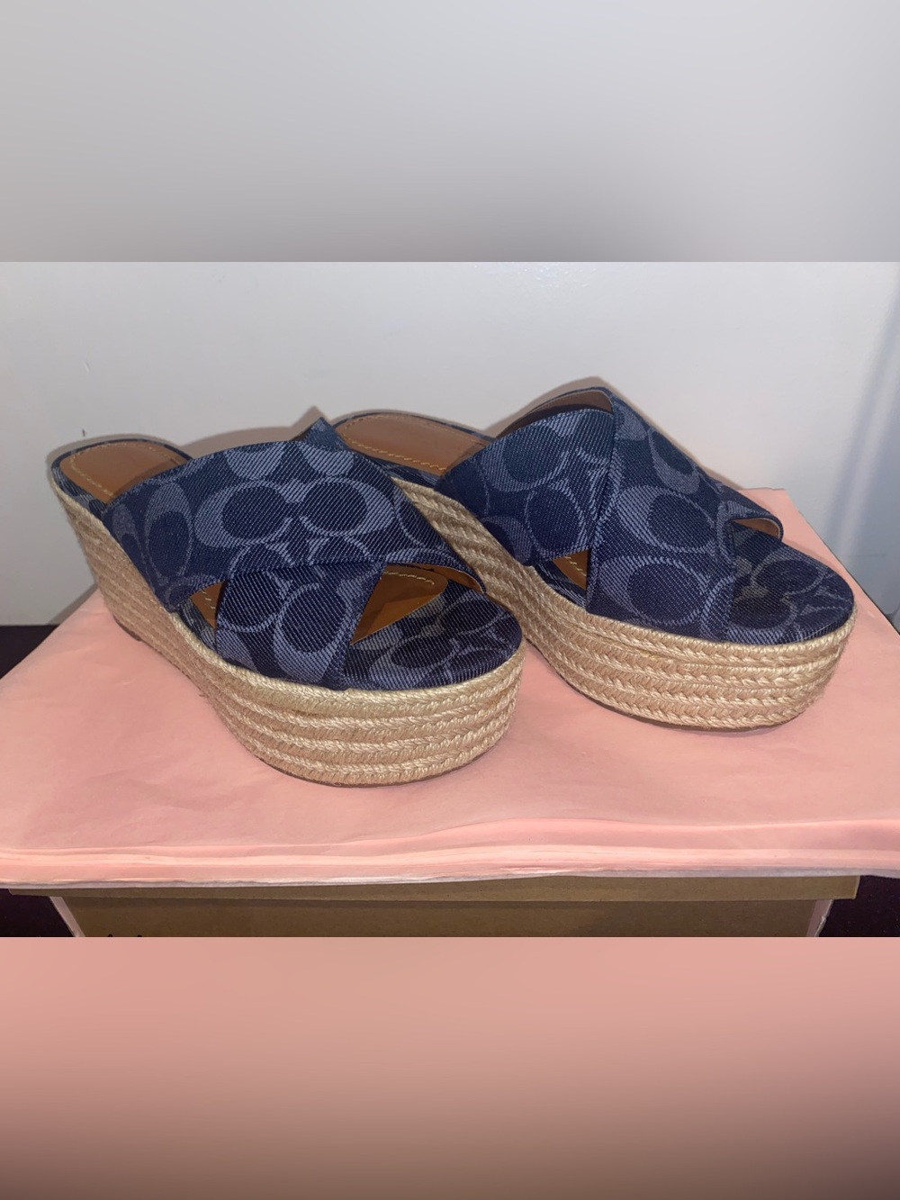 Coach Navy Blue Platform Espadrille Wedge Sandals